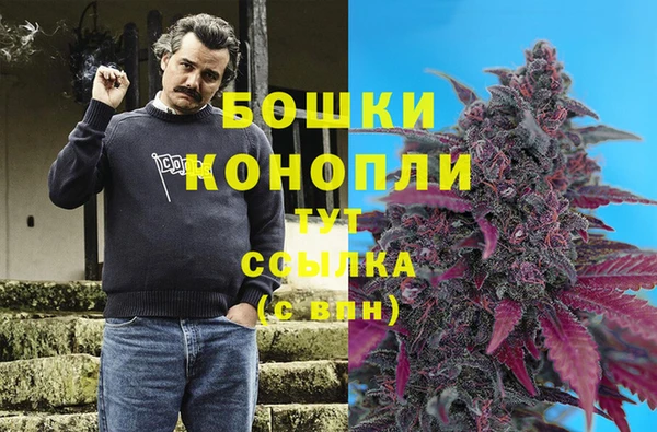 СК Аркадак