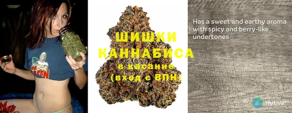 PSILOCYBIN Арсеньев