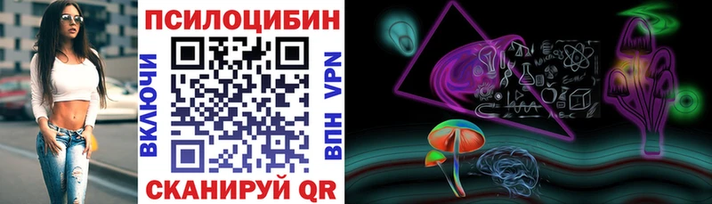 Купить закладки  Людиново  Псилоцибиновые грибы GOLDEN TEACHER 